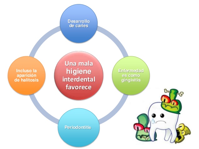 La caries, la halitosis, la gingivitis son enfermedades bucodentales que pueden prevenirse con unos buenos hábitos dentales.