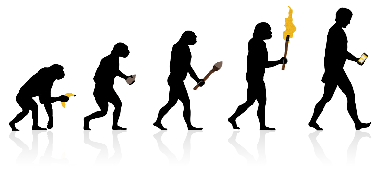 Los morales o muelas del juicio no tienen utilidad, en sí mismas. Por ello se les llaman, “órganos vestigiales”, como el apéndice o el coxis. Es decir, son órganos que en su momento evolutivo tuvieron un fin, pero que hoy ya se les considera innecesarios. 