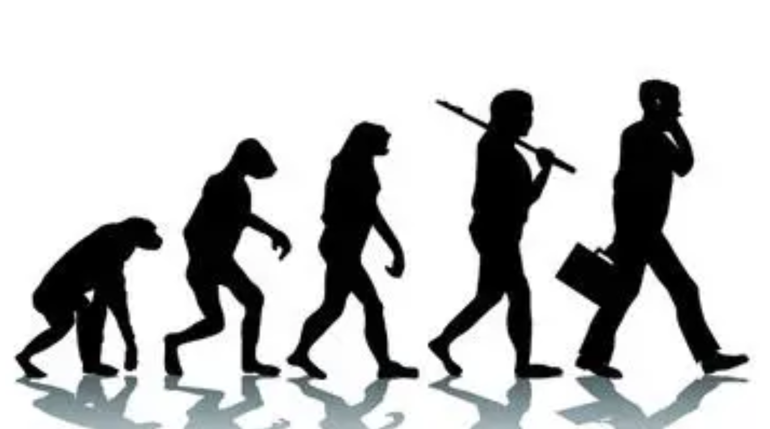 Cuando el azúcar llega a Europa por la propagación de las rutas comerciales, nuestra alimentación e incluso nuestro sistema digestivo con su microbiota cambia. En nuestra actual dieta ya hablamos del azúcar refinado, los almidones, edulcorantes y los sacáridos libres como la sacarosa que en la época de nuestros ancestros no tenían un lugar en su régimen alimenticio. Por esta razón, a partir del siglo XV aparecen enfermedades como la caries, los cepillos dentales o el consultorio dental. Así como las endodoncias, que históricamente comienzan a tratarse a partir del siglo XIX o el cepillo dental eléctrico y las limpiezas dentales, un siglo más tarde. Por esta razónn, la enfermedad de la caries en la prehistoria es interesante conocerla.