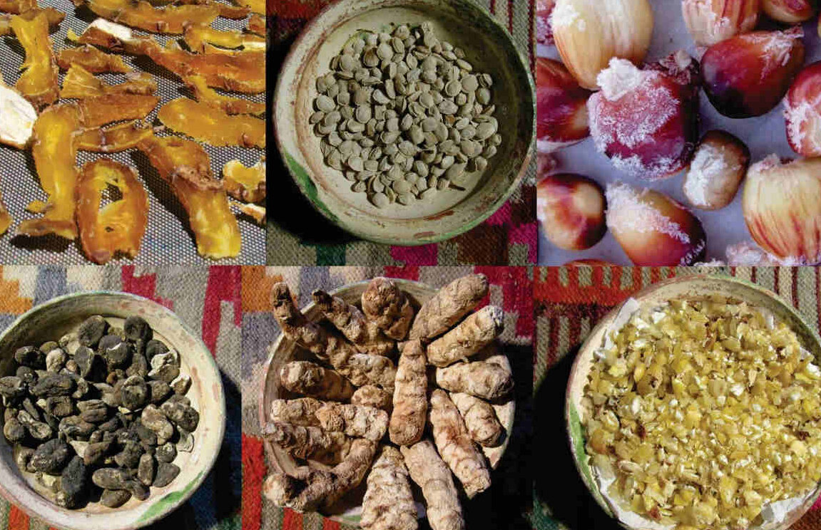 Durante la época del Paleolítico, la alimentación se basaba en alimentos crudos y, claramente no procesados, frutas silvestres y raíces, además de verduras, carnes secas y granos enteros. Una dieta que, en esencia, malgastaba y destrozaba el esmalte por el estrés en su forma de comer. Algo muy diferente en nuestra etapa contemporánea. La enfermedad de la caries en la prehistoria tiene una evolución interesante. Aunque ahora conocemos nuestra salud dental humana, hasta el siglo XV no hubo casos de caries a nivel mundial. 