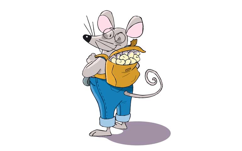 Los datos recabados por el Proyecto científico “Ratoncito Pérez” ayudarán a entender “la caracterización morfológica externa (esmalte) e interna (dentina) de los dientes de leche mediante el uso de las técnicas de micro tomografía axial computarizada (micro CT)”; de igual manera que la comprensión científica en aquellas patologías humanas extintas; así como el “patrón de desarrollo e histología dental, así como estudios de dimorfismo sexual”.