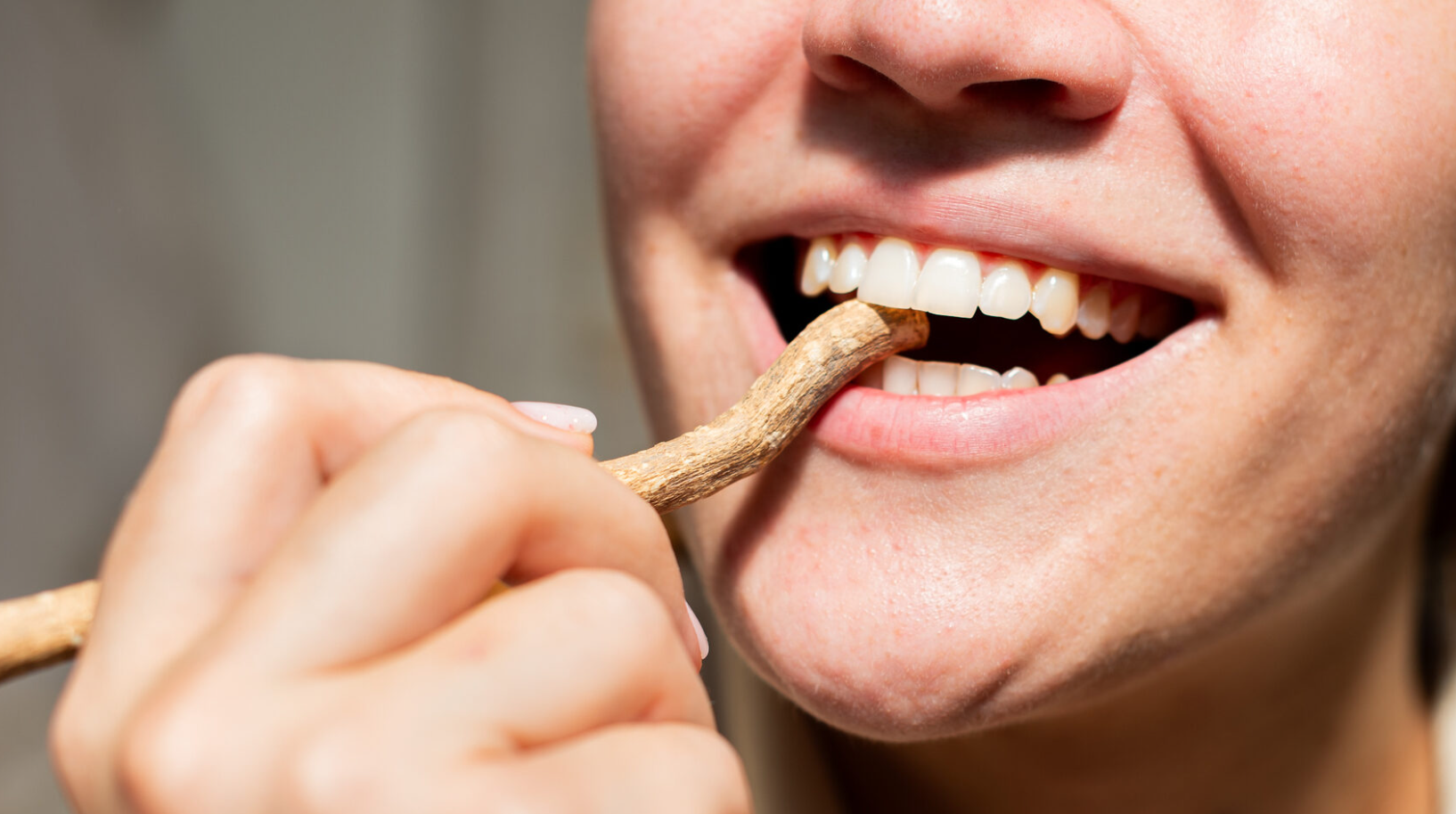 El cepillo dental como concepto de palo natural Miswak procede del árbol “Salvadora Persica” y ha ido ganando su público por su  propiedades antimicrobianas y su impacto ecológico. Aunque es lo que imaginas, un palo al uso, su origen parte de las primeras limpiezas dentales en la antigua Babilonia como en el antiguo Egipto, ​​hace 3500 a.C. A pesar de su popularidad, es importante conocer sus límites y los motivos por los que no sustituye al cepillo dental moderno. Una herramienta que nace en China en el S.XV y que estaba hecha en sus comienzos por pelo de cerdo y mango de bambú o hueso hasta que se europeiza en el S XVII. 